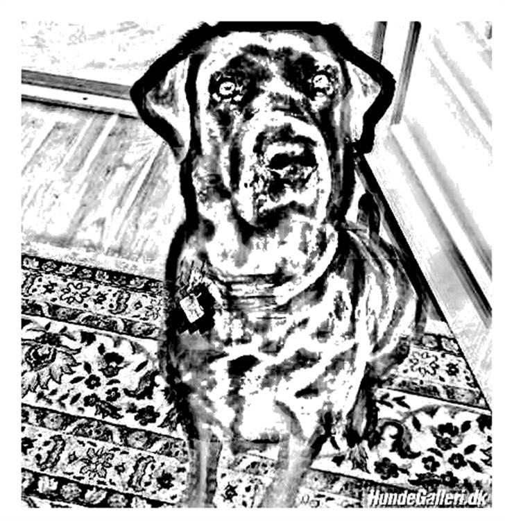 Tegninger :-) - Bella billede 22