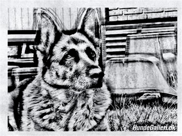 Tegninger :-) - Nathja billede 29