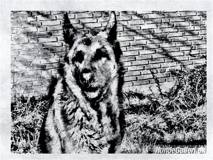 Tegninger :-) - Nathja billede 30