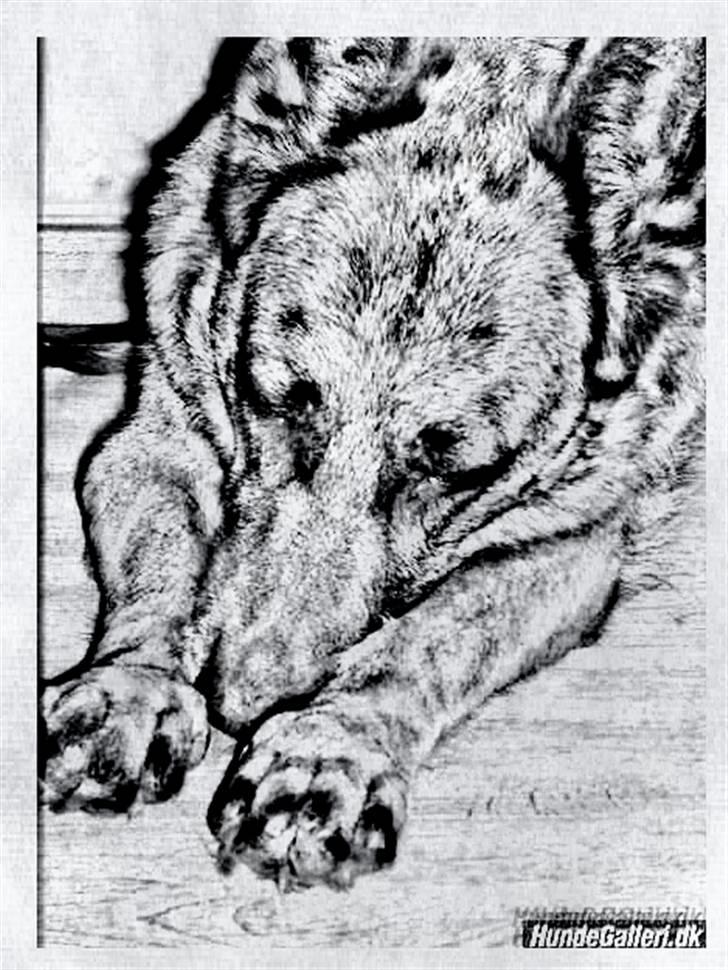 Tegninger :-) - Nathja billede 31