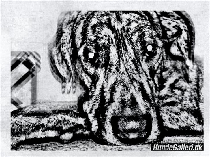 Tegninger :-) - Tyson drengen :-) billede 33