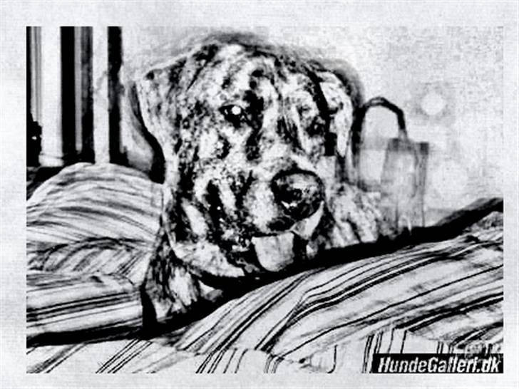 Tegninger :-) - Tyson billede 35