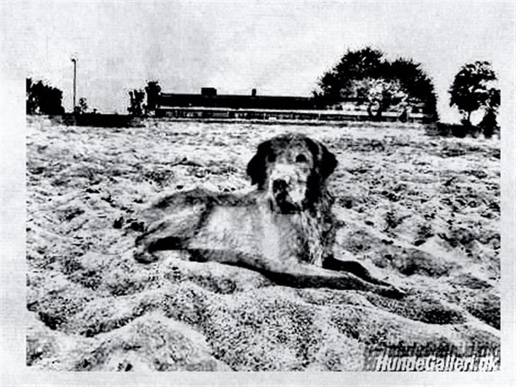 Tegninger :-) - Sofus - drengen :-) billede 36