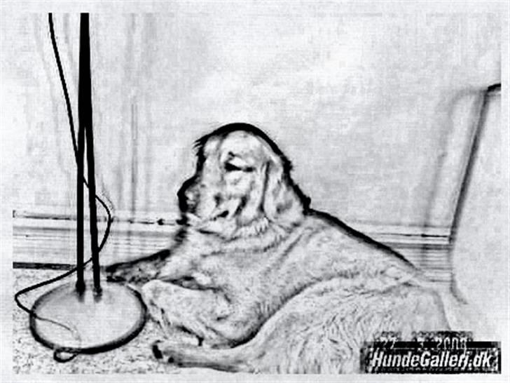 Tegninger :-) - Sofus billede 37