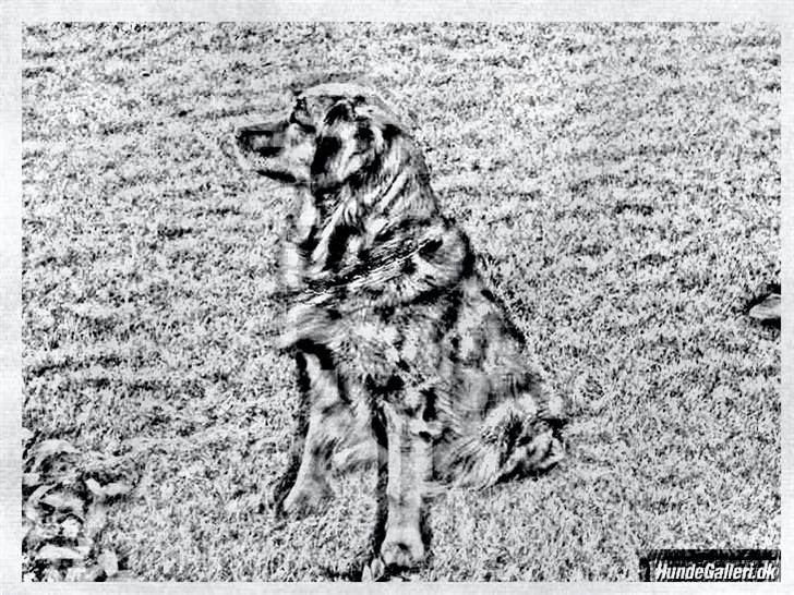 Tegninger :-) - Sofus billede 38