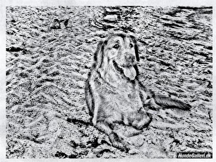 Tegninger :-) - Sofus billede 39