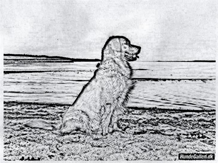 Tegninger :-) - Sofus billede 40