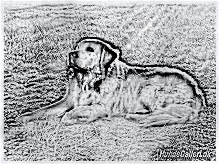 Tegninger :-) - Lækre Sofus billede 41