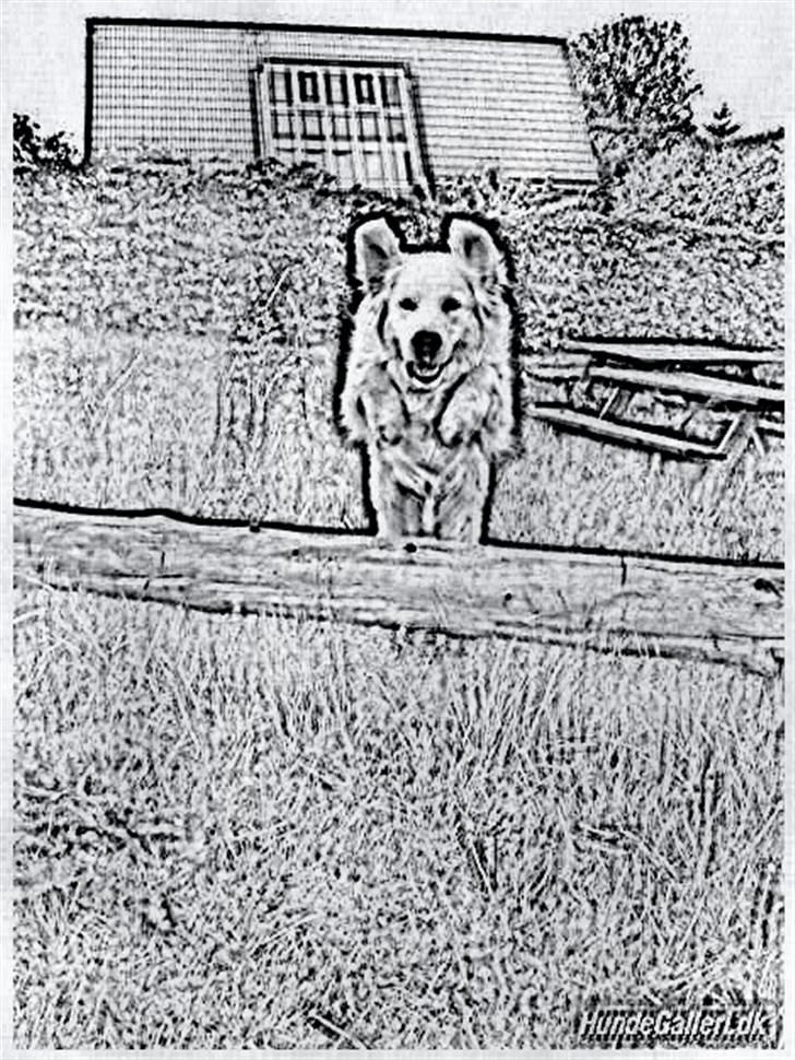 Tegninger :-) - Lækre Sofus billede 42