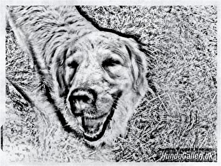 Tegninger :-) - Sofus billede 43