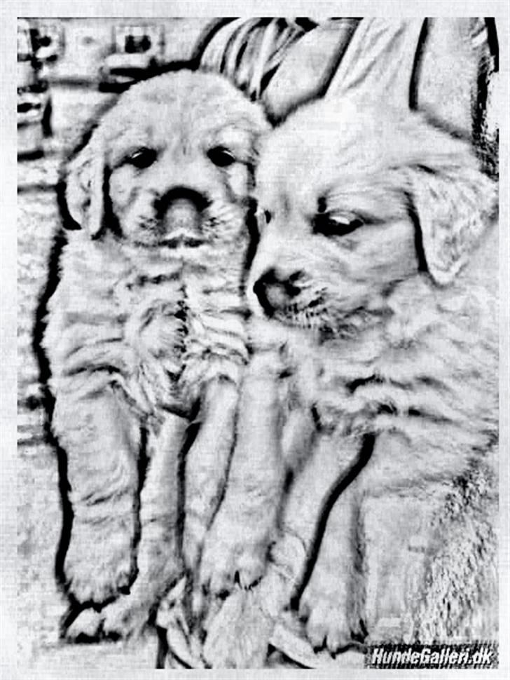 Tegninger :-) - Sofus billede 44