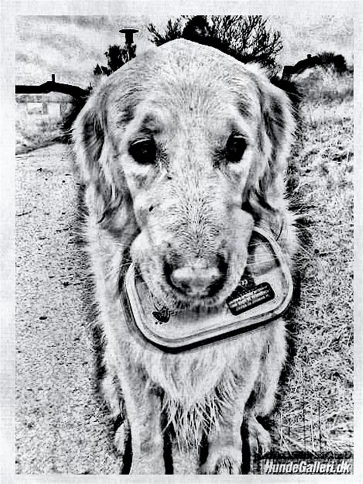 Tegninger :-) - Sofus billede 45