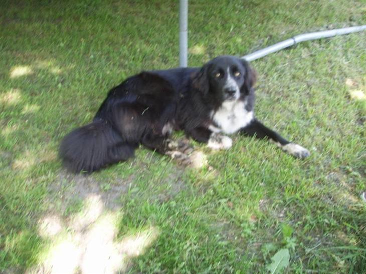 {{currentPhoto.altText}} billede {{currentPhoto.number}}