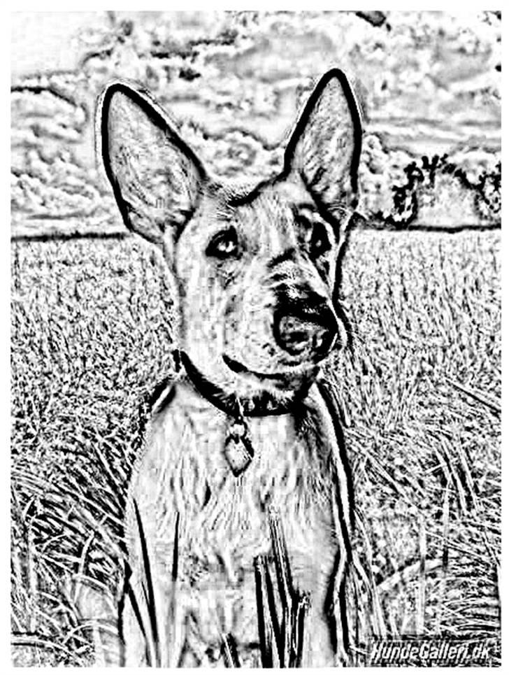 Tegninger :-) - Buffy billede 48