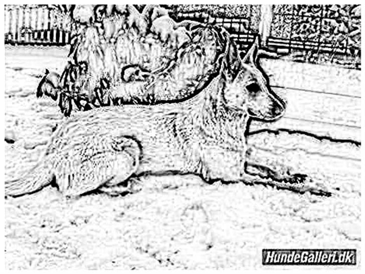 Tegninger :-) - Buffy billede 49