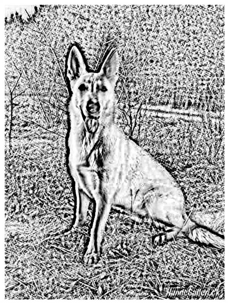 Tegninger :-) - Buffy billede 51