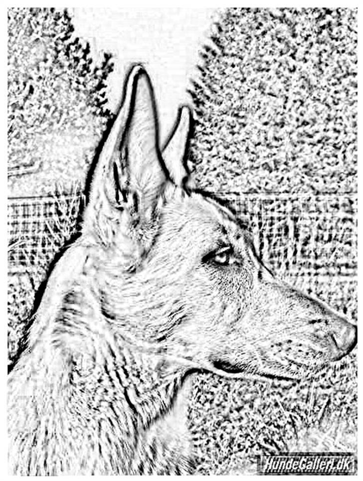 Tegninger :-) - Buffy billede 52