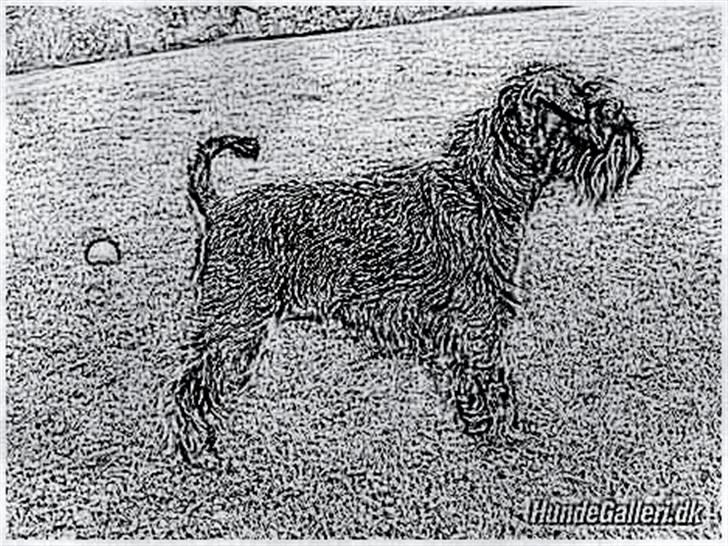 Tegninger :-) - Money :-) billede 61