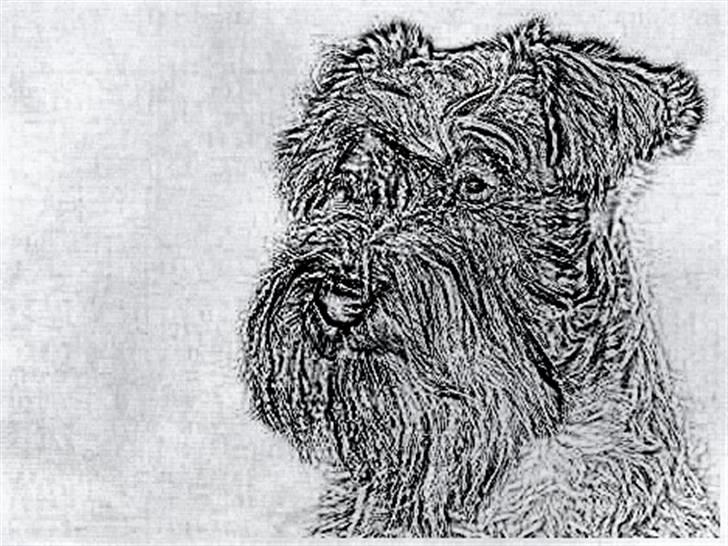 Tegninger :-) - Money :-) billede 62