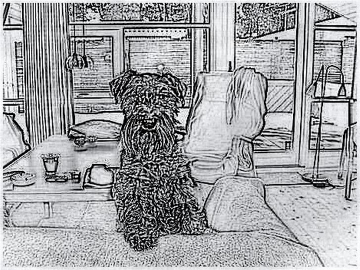 Tegninger :-) - Money :-) billede 63