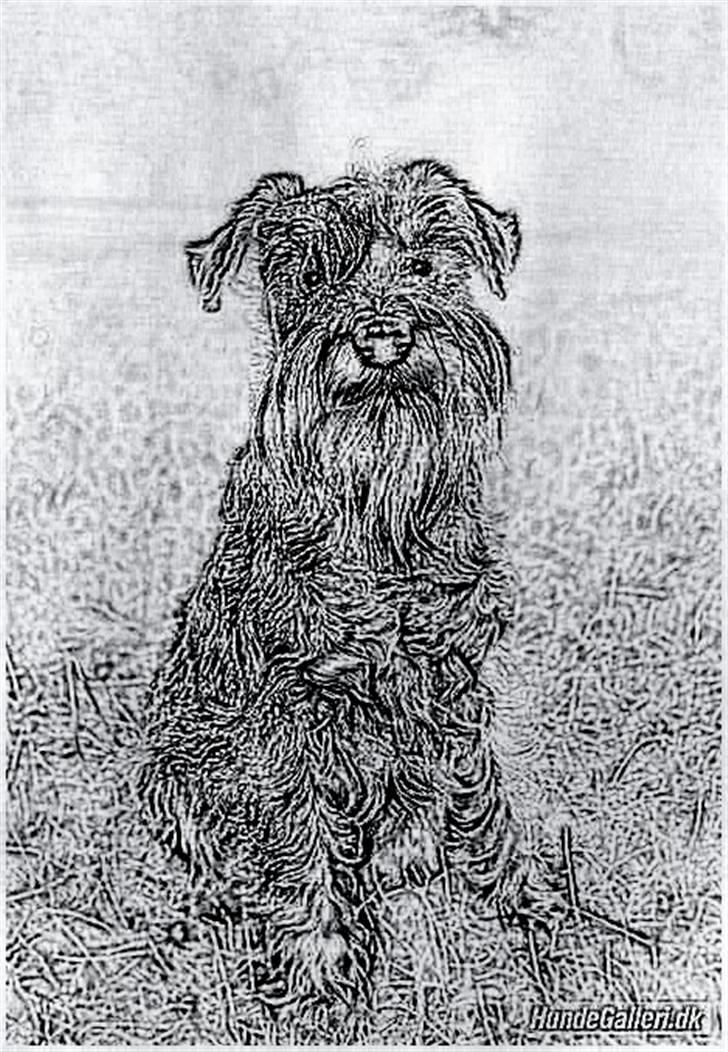 Tegninger :-) - Money :-) billede 64