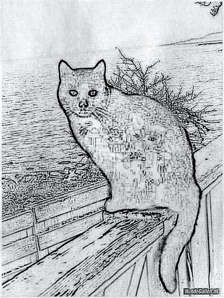 Tegninger :-) - Nala billede 66