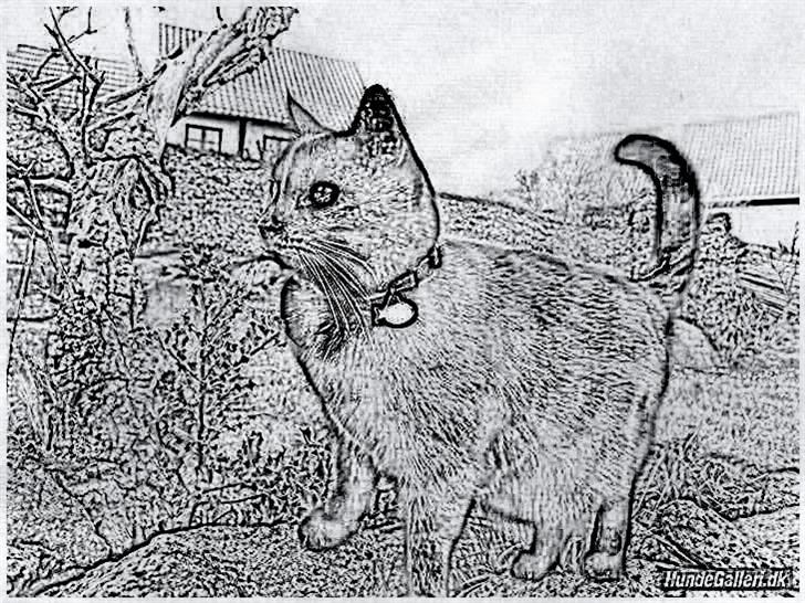 Tegninger :-) - Nala billede 67