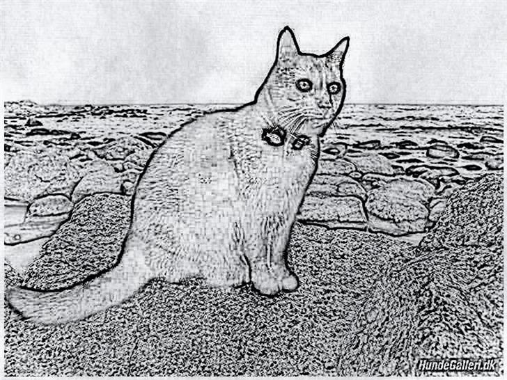 Tegninger :-) - Nala billede 69