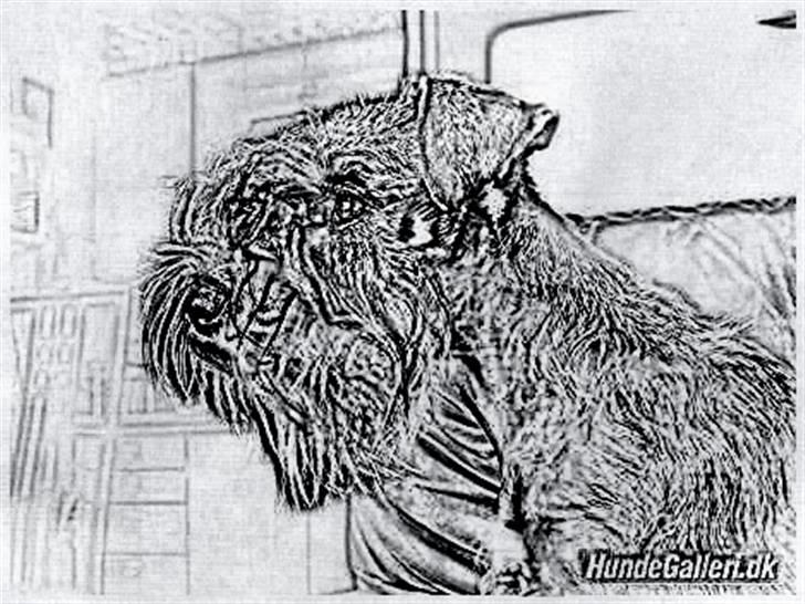 Tegninger :-) - Sallie billede 72