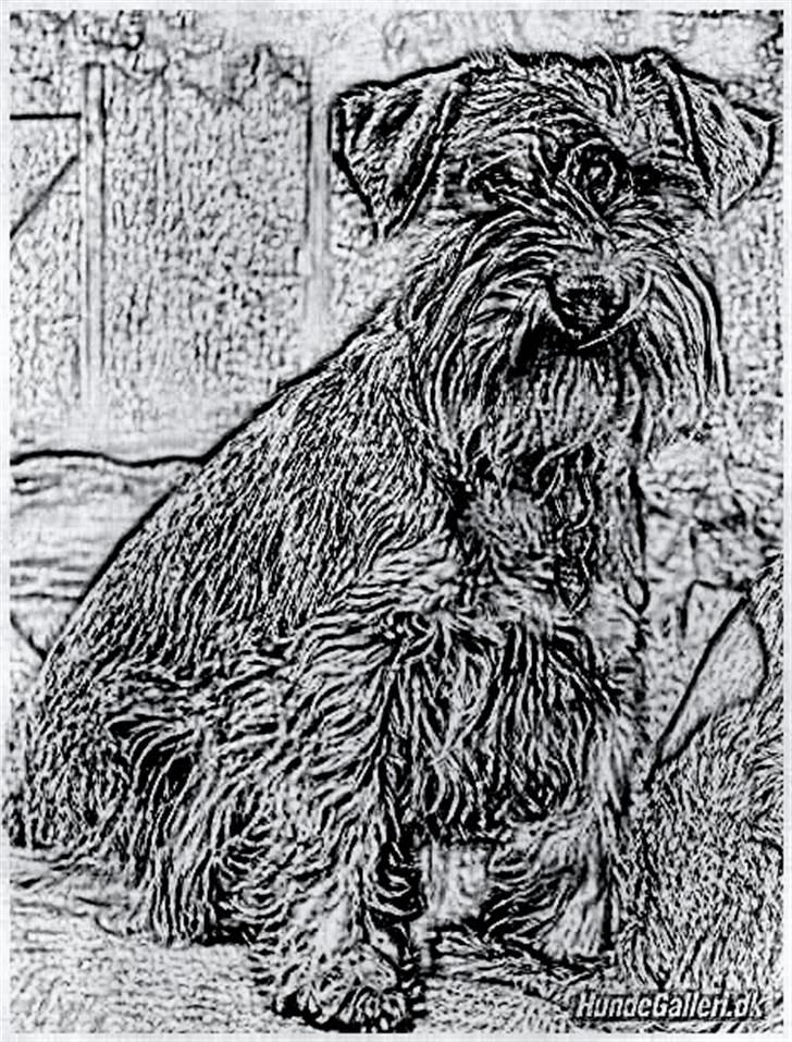 Tegninger :-) - Sallie billede 74