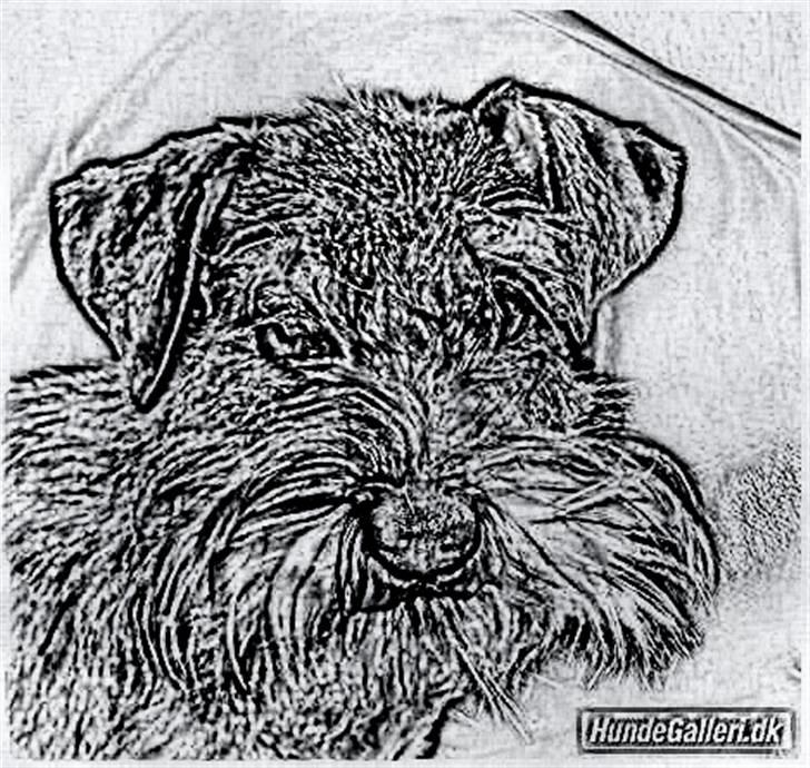 Tegninger :-) - Sallie billede 75