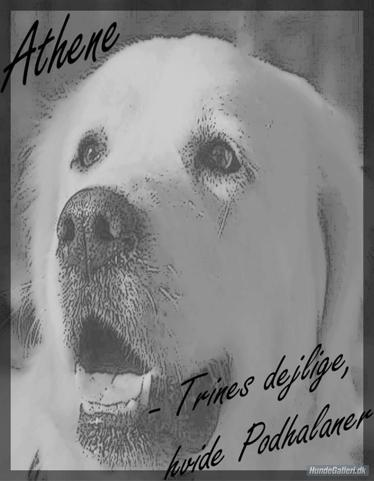 Diverse tegninger og collager... - En lidt betuttet Athene... billede 43