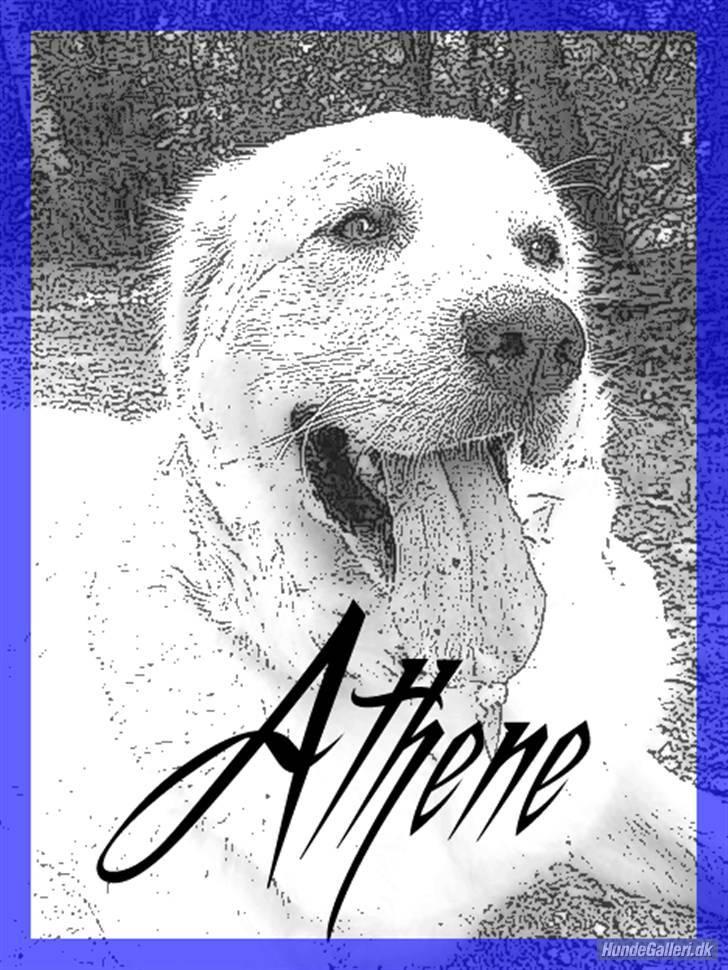 Diverse tegninger og collager... - Min smukke, smukke Athene. billede 44