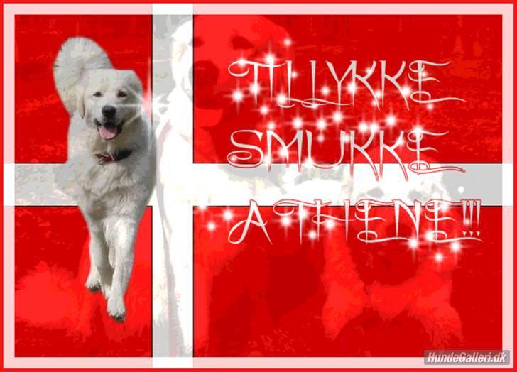 Diverse tegninger og collager... - Flot fødselsdagskort... billede 45