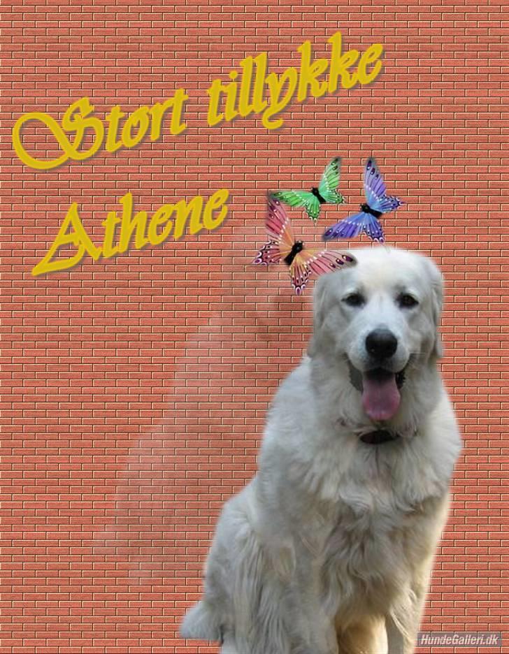 Diverse tegninger og collager... - Dejlig fødselsdagshilsen... billede 46