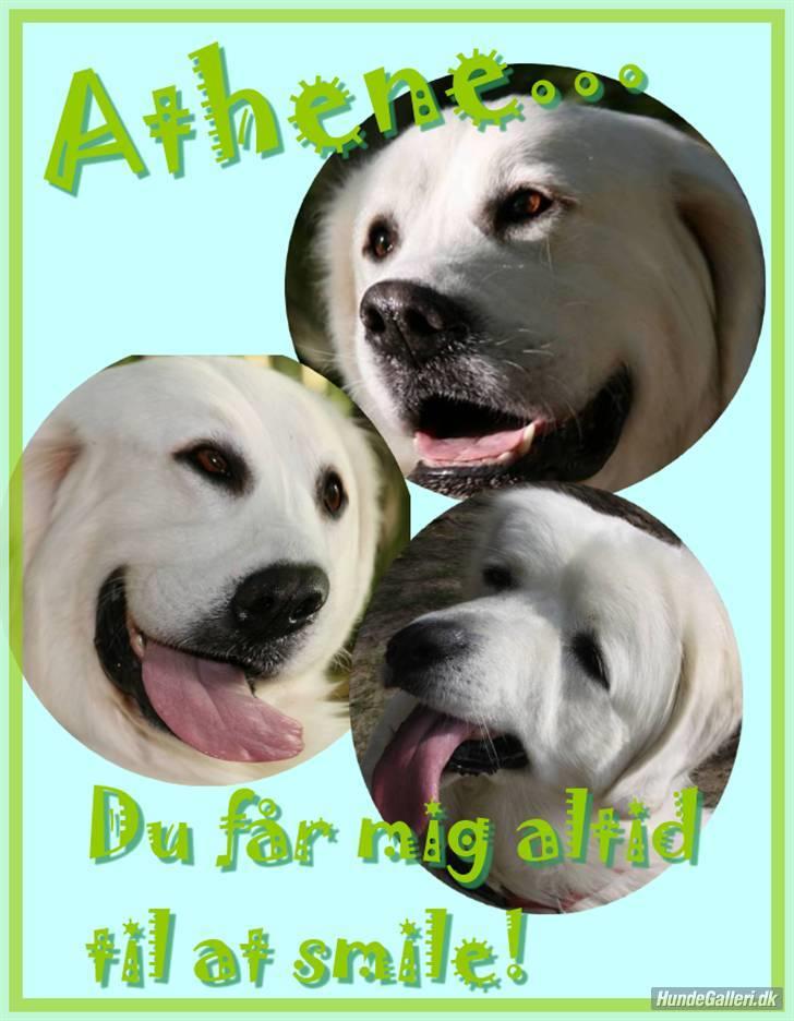 Diverse tegninger og collager... - Athene på syretrip.... eller er det tilskueren? billede 47