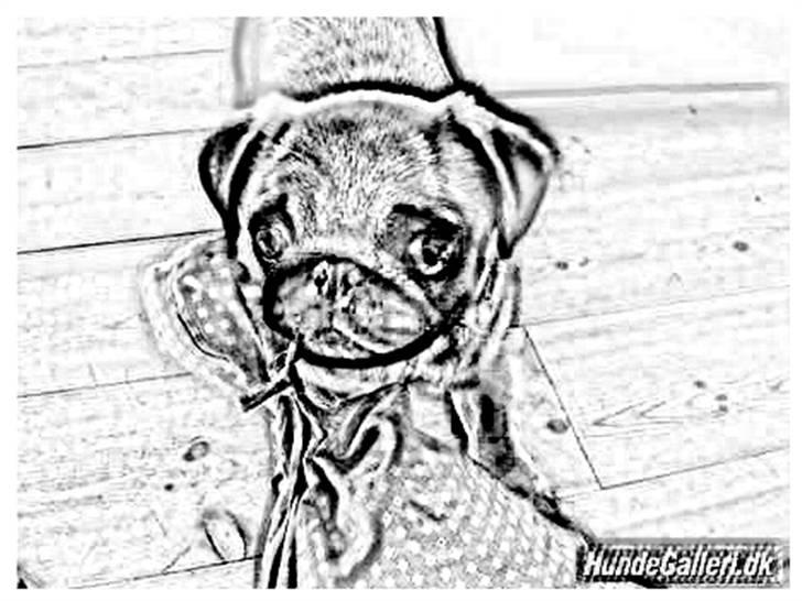 Tegninger :-) - Gucci-piin :-) billede 76