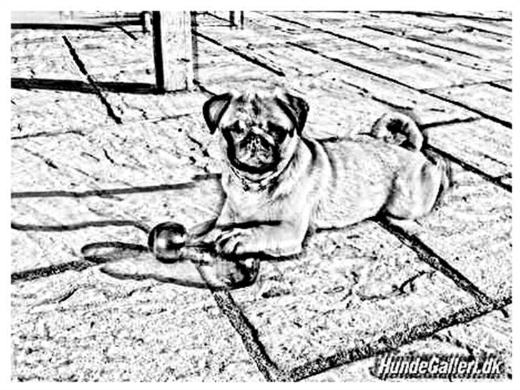 Tegninger :-) - Gucci billede 77