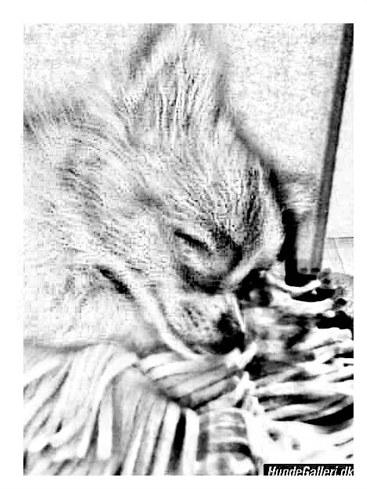 Tegninger :-) - Lille Lilo - kanont navn :-P billede 79