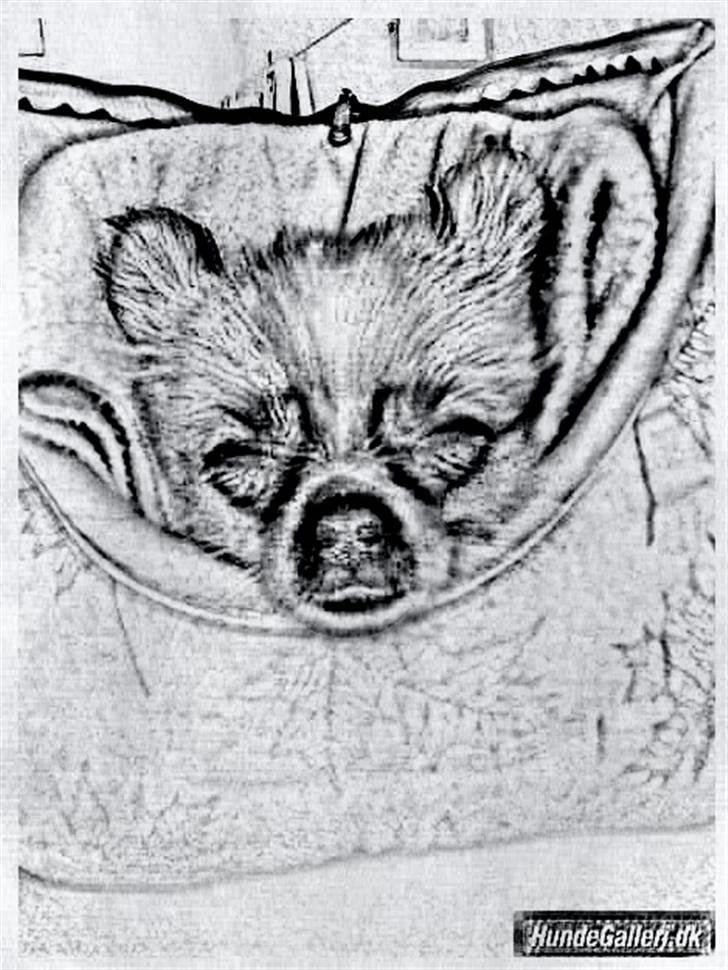 Tegninger :-) - Lilo billede 80