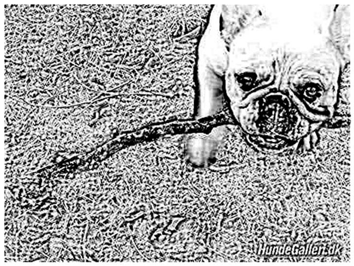 Tegninger :-) - Ronni - drengen :-) billede 82