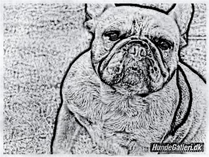 Tegninger :-) - Ronni billede 83