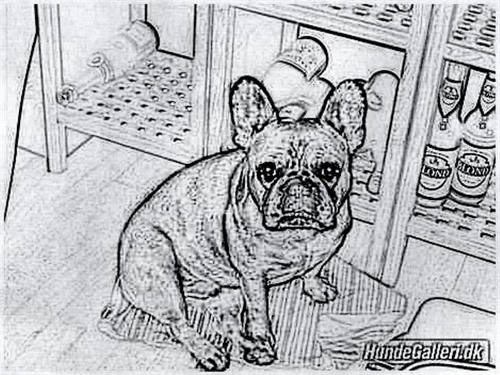 Tegninger :-) - Ronni billede 84