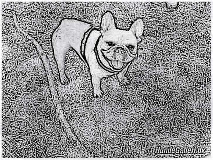 Tegninger :-) - Ronni :-) billede 86