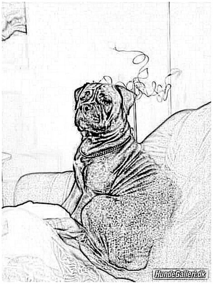 Tegninger :-) - Dixie billede 90