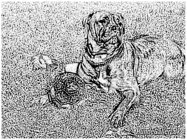 Tegninger :-) - Dixie billede 91