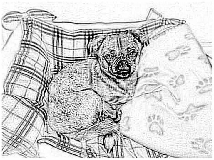 Tegninger :-) - Gucci - såå nuttet :-P billede 92