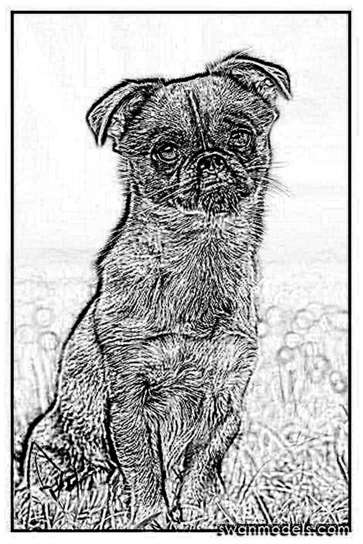 Tegninger :-) - Gucci billede 93