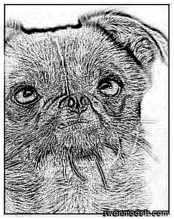 Tegninger :-) - Gucci billede 94