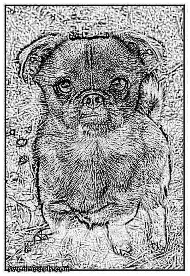 Tegninger :-) - Gucci billede 95